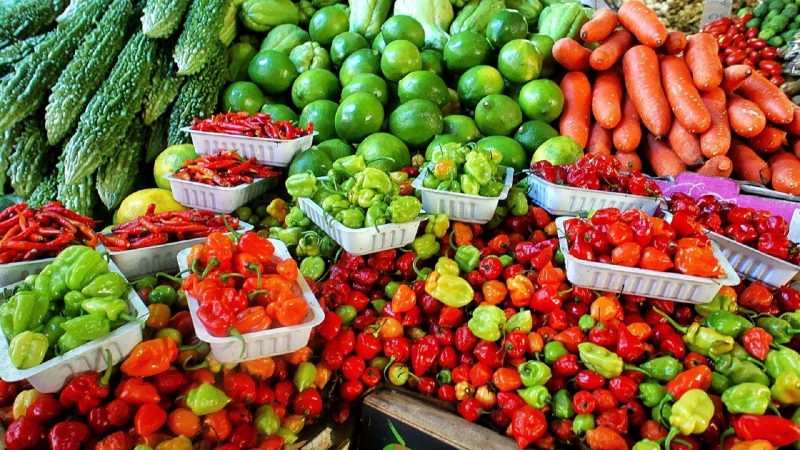 primeur-LE BOURGUET-min_farmers-market-1329008